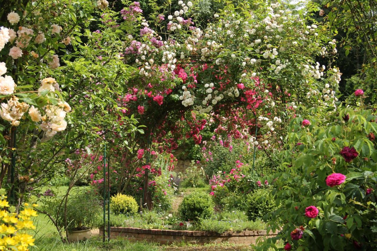 Domaine des Roches Blanches - Site Classé Le Pin  Exterior foto