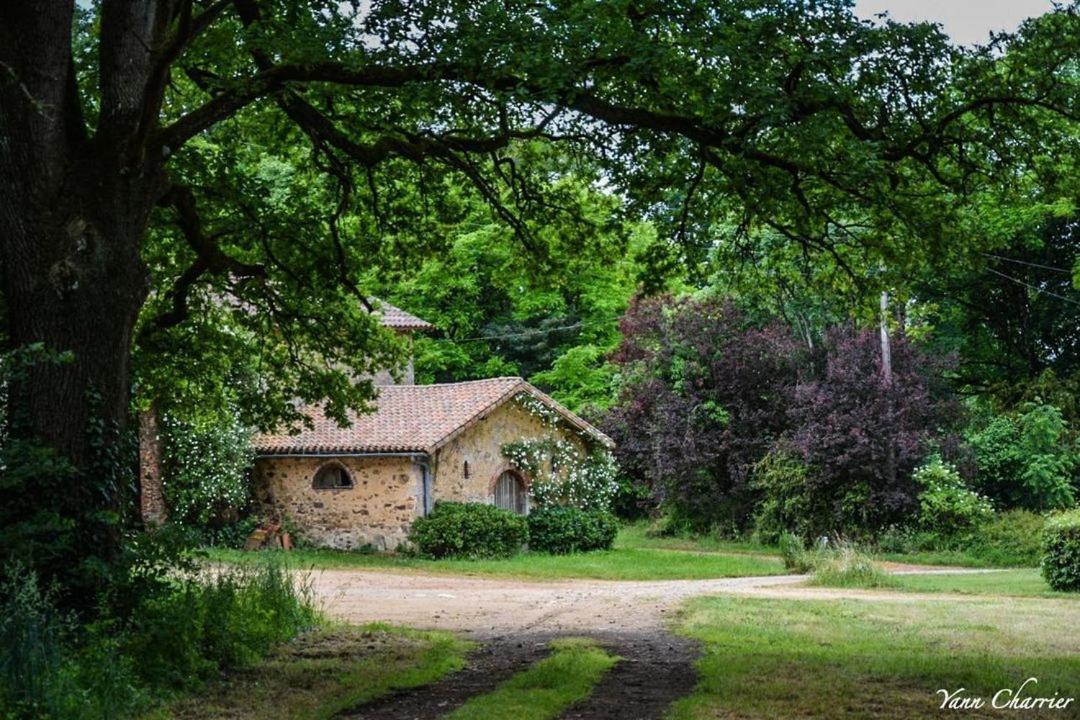 Domaine des Roches Blanches - Site Classé Le Pin  Exterior foto