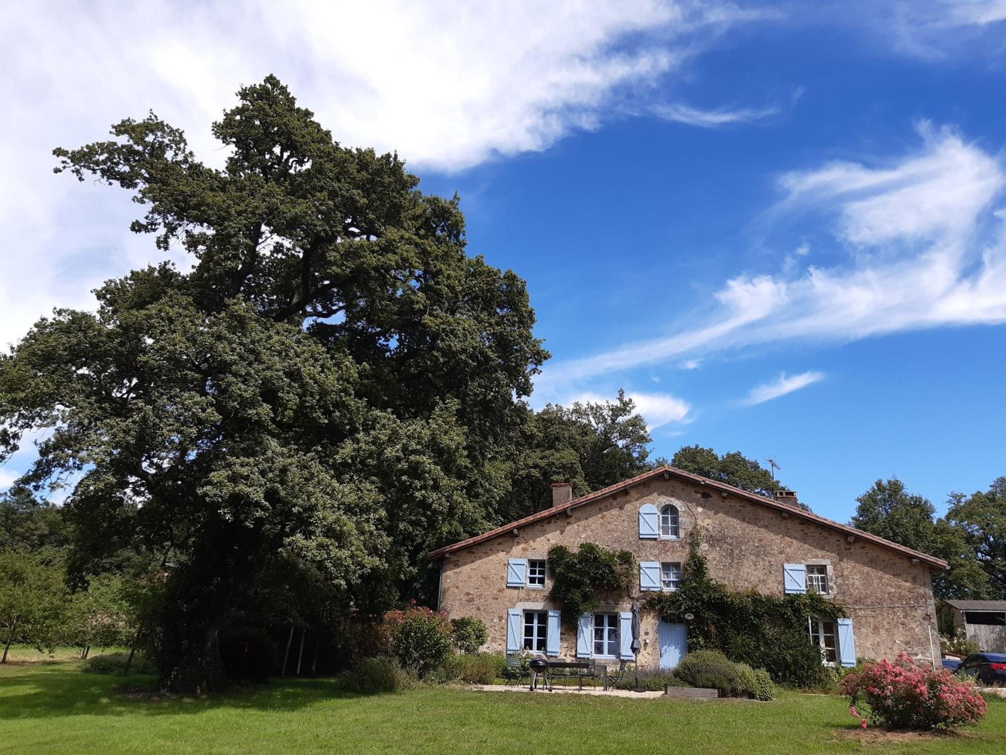 Domaine des Roches Blanches - Site Classé Le Pin  Exterior foto